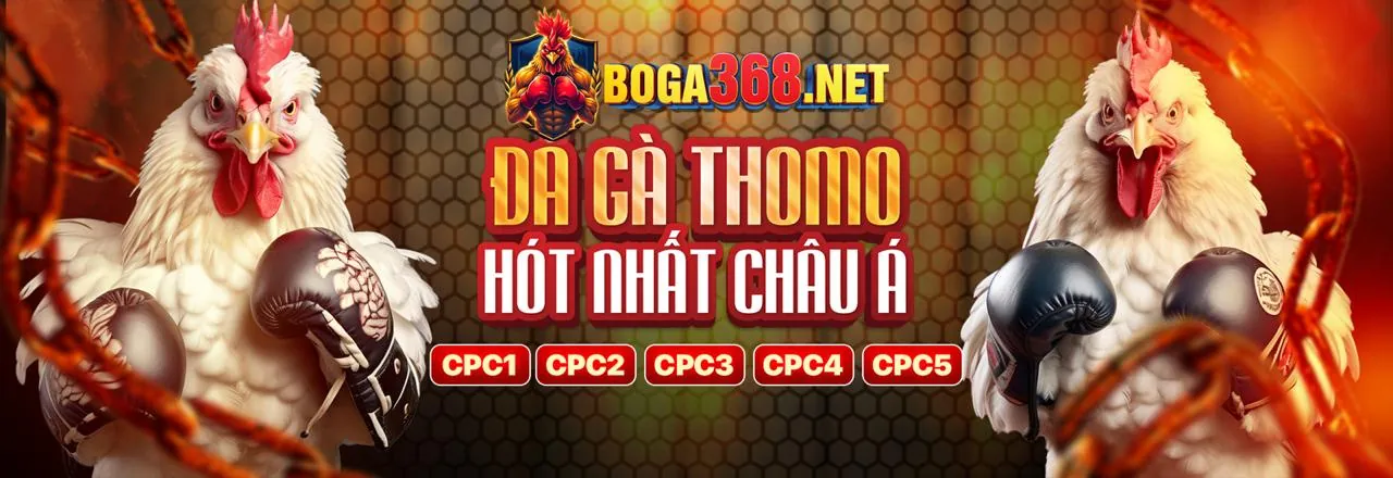 Sân vận động bóng đá với đèn sáng, thể hiện cá cược bóng đá sôi động tại 33win69 win