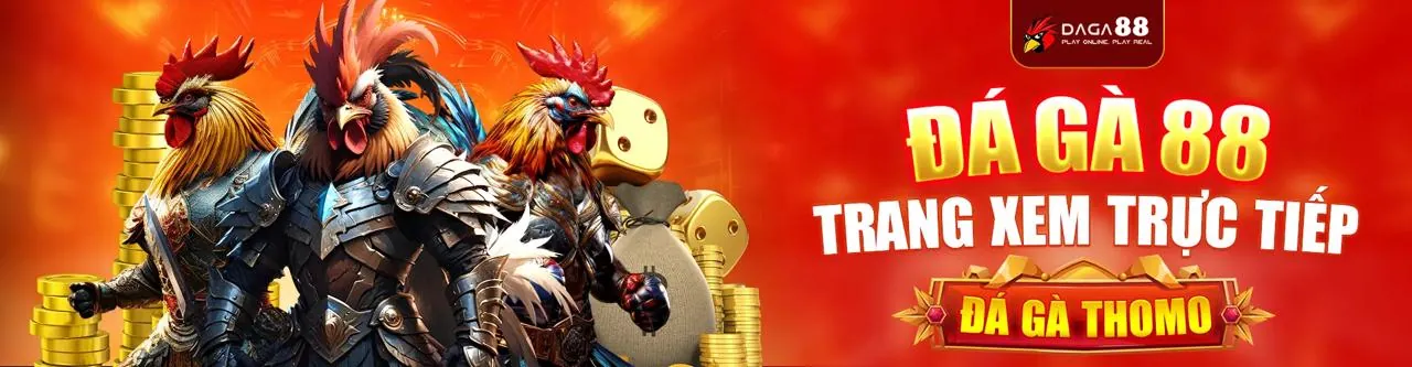 Sân đấu đá gà trực tuyến 33win69 win