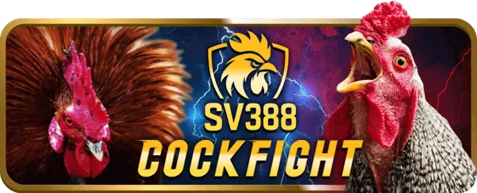 Trò chơi đá gà 33win69 win